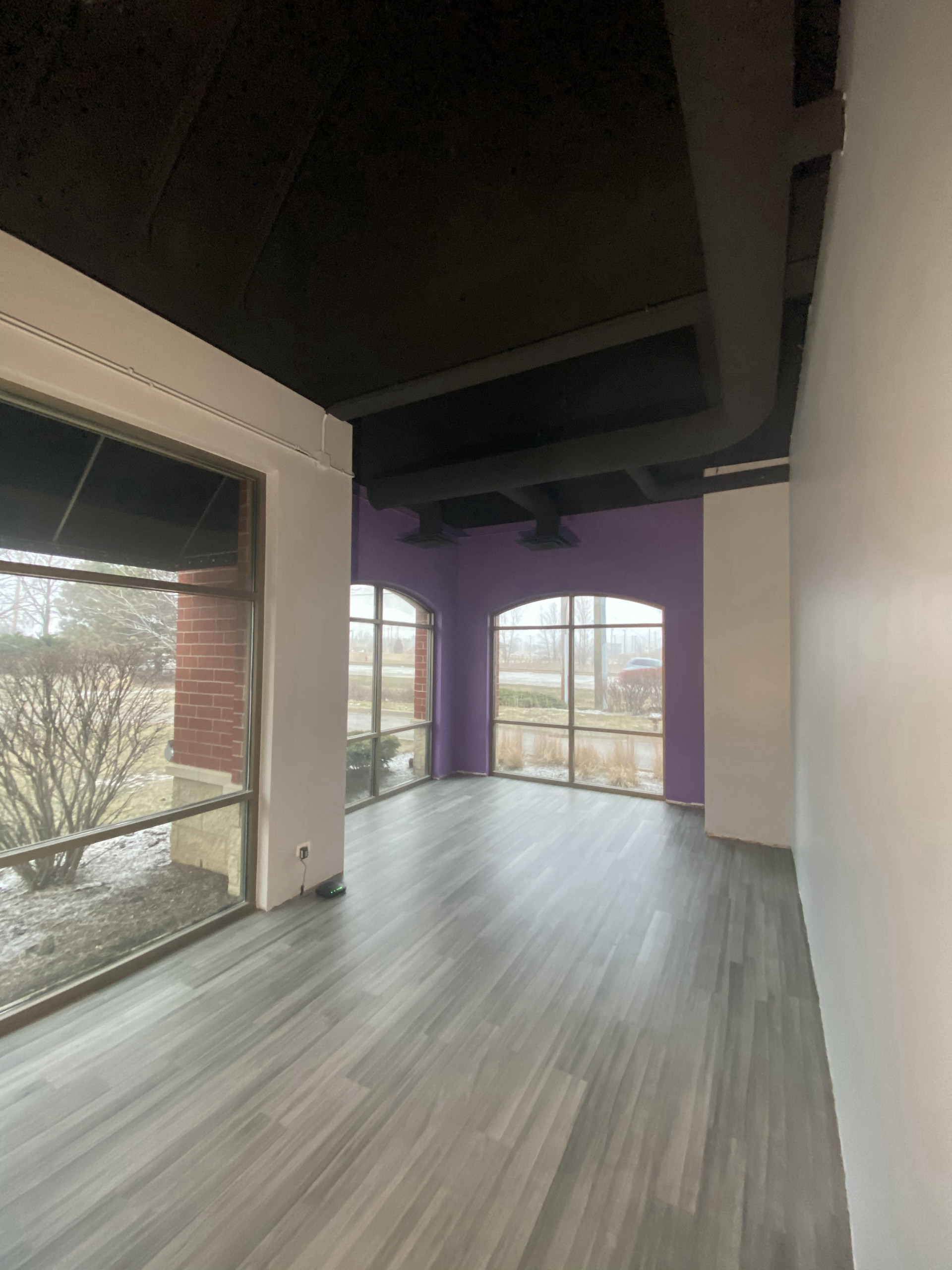 gym interior painting libertyville